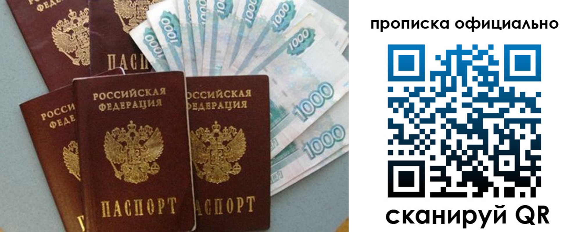прописка 2025 в Павловске